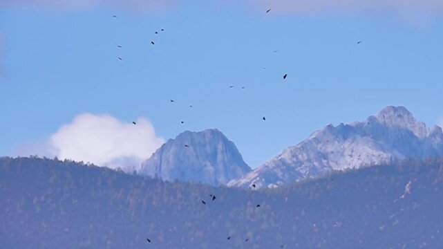 Mysterious country of eternal youth Shangri-La China renamed one of provinces of Tibet (Zhongdian) for sake of fashion tourists. Impossible. Choughs soars. Super slow motion 1000 fps.