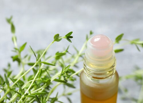 Thyme extract essential oil. nature green. Close-up view