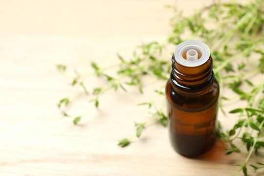 Thyme extract essential oil. nature green. Space for text