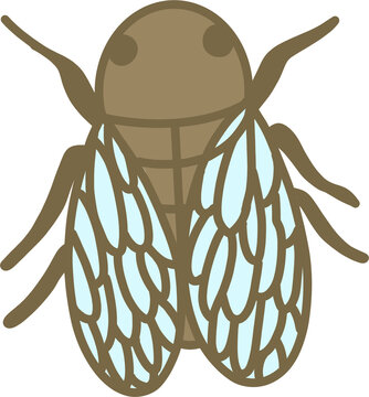 Brown cicada insect vector illustration, summer nature wildlife concept