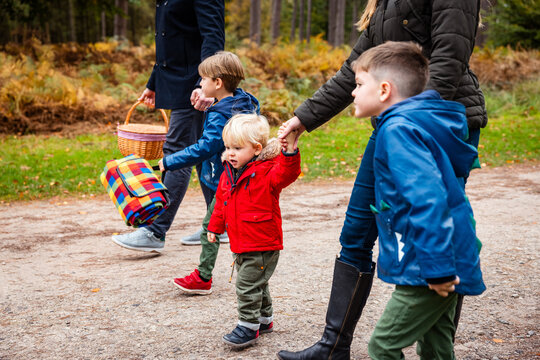 Family walking in autumn forest carrying picnic basket