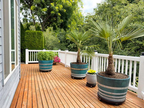 Summer seasonal backyard cedar wood deck patio with furniture and plants in planter pots with woods tree in background