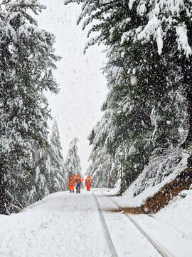 Hikers in bright orange jackets walk along a snow-covered forest
