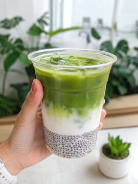 Hand holding a plastic cup of iced matcha green tea latte with chia seed pudding layers. Healthy refreshing vegan beverage in a bright cafe with green plants background.