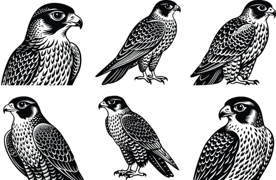 Egole, vintage, vector EGOL BIRD LOGO adobe illustrator vector file. Egol modern logo design and abstract logo. Ai generate
