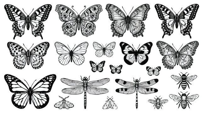 Vintage Insect Illustration Set with Butterflies Dragonflies and Bees