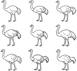 Naklejka premium Sketch of an ostrich walking with detailed feathers and long legs in black ink drawing