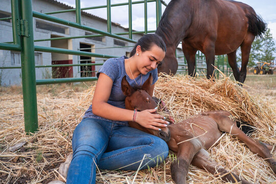 Girl comforts newborn colt in outdoor stable yard