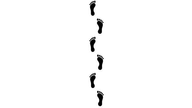 Animated Human Barefoot Footprints Appearing from Bottom to Top, Seamless Walking Path Motion on Transparent white Background animation
