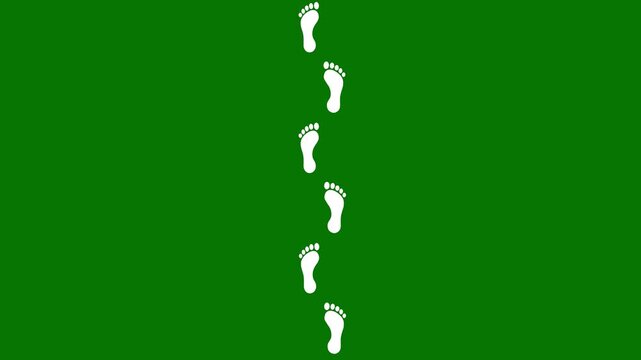 Animated Human Barefoot Footprints Appearing from Bottom to Top, Seamless Walking Path Motion on Transparent green Background animation