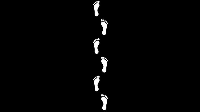 Animated Human Barefoot Footprints Appearing from Bottom to Top, Seamless Walking Path Motion on Transparent blank Background animation