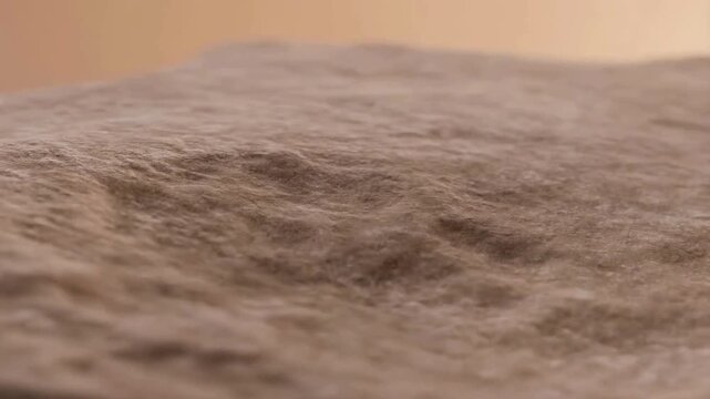 Warm Taupe Sandstone Texture with Changing Soft Light and Organic Mineral Details