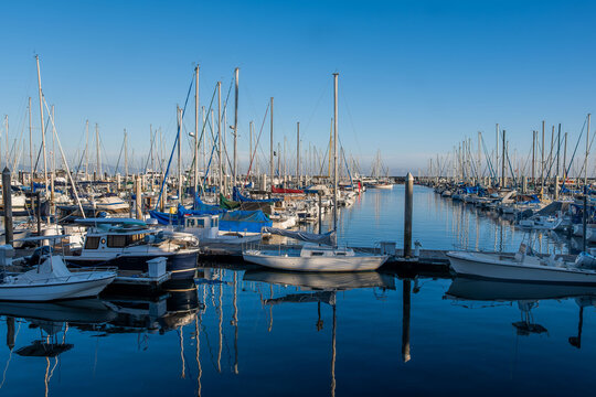 boats in the harbor