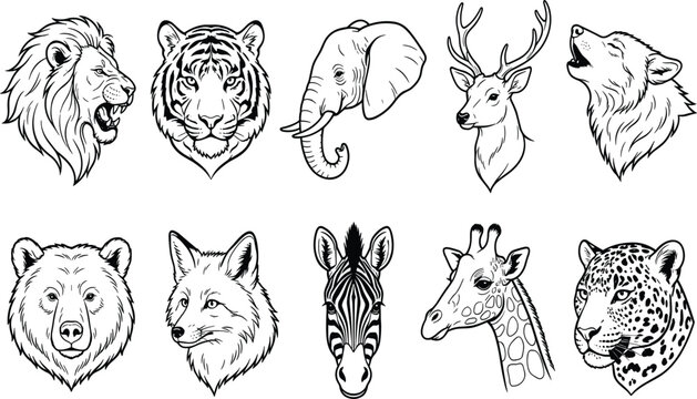 Hand drawn wild animal head collection lion tiger elephant deer wolf bear fox giraffe zebra vector illustration isolated on white background