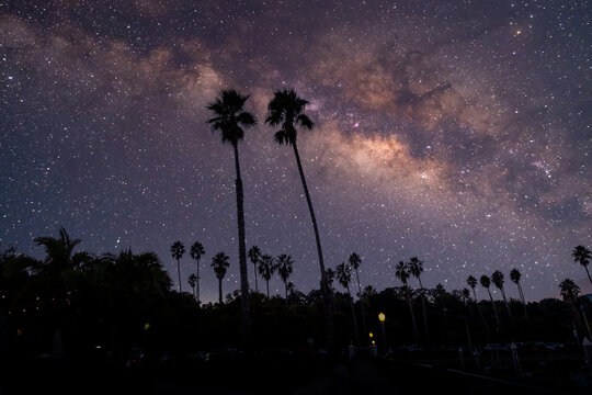 starry night sky