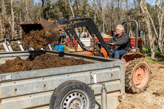 Man use tractor to load manure into farm trailer