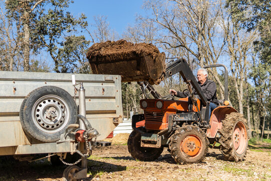 Man load manure into trailer with tractor in countryside