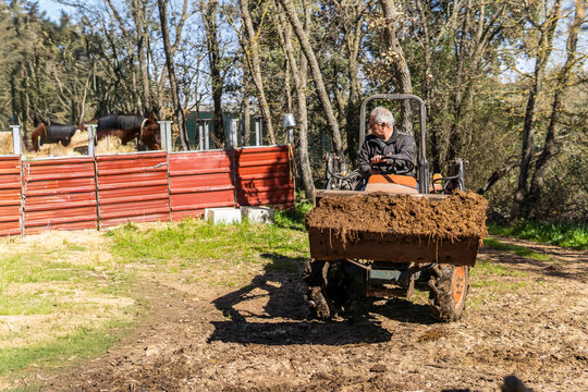 Farmer operating tractor in countryside field near horses
