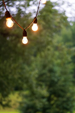 String lights with glowing bulbs hang outdoors against a soft green bokeh background, creating a warm festive atmosphere with natural light and large copy space for event planning, hospitality,wedding