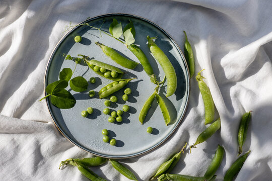 Fresh green pea and pea pod harvest on ceramic plate