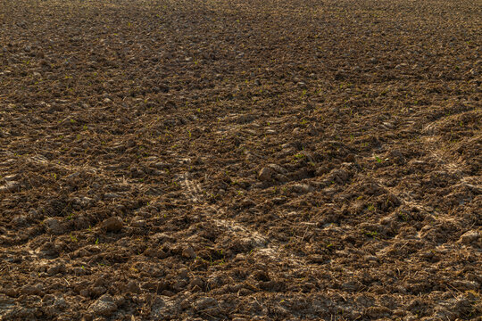 Plowed cereal field with dry soil texture and furrows