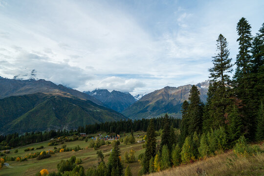 Landscape photograph of pine forest on hill overlooking autumn valley and mountains in Svaneti Georgia.