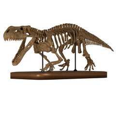 Dinosaur Fossil Skeleton Prehistoric Museum Display © G Graphic & Motion