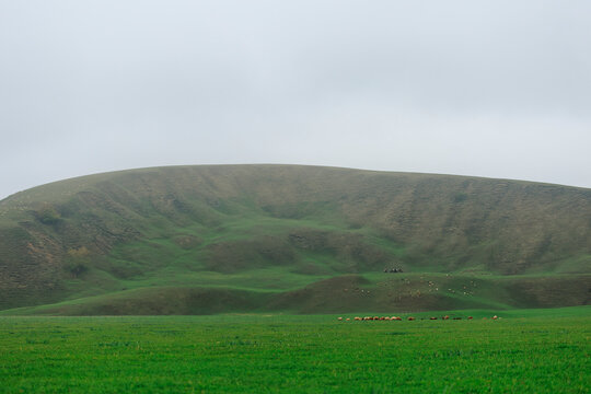 Flocks and Horsemen on the Hill Pasture.