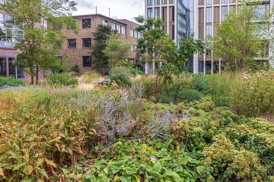 Urban garden courtyard at the Meelfabriek in Leiden with modern brick apartments and lush greenery