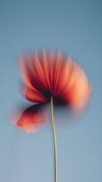A blurred single flower in warm red and peach tones gently melts into a cool blue backdrop. The painterly gradient and airbrush softness evoke dreamy spring artistry.