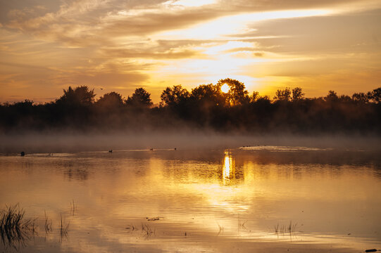 Golden sunrise over misty river in summer morning