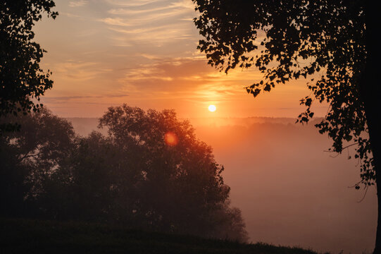 Sunrise over misty river framed by summer trees