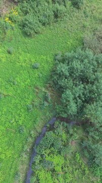 Aerial Top Down View Small Stream Remaining From Dried Lake Bed Green Forest Meadow Bijambare