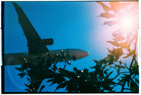 a passenger aircraft crosses the sky above leafy branches, 35mm film