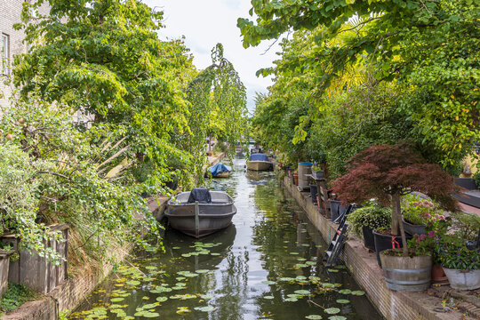 Canal boats and lush garden terraces along a narrow residential waterway in Leiden, The Netherlands