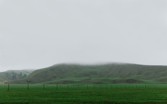 Green Ridge and Grazing Horses Shrouded in Fog.