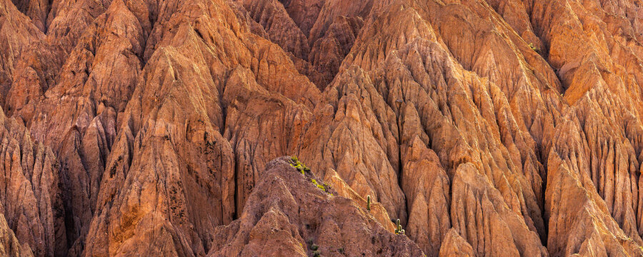 Eroded desert formations at North Caineville Mesa, Utah