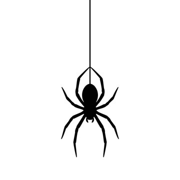 Halloween Spider Hanging Silhouette, Creepy Black Insect Shadow, Scary Arachnid Vector for Embroidery and Print