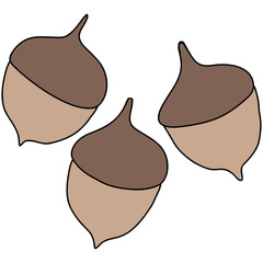 vector illustration of acorn on white background © Zico.Pencil 