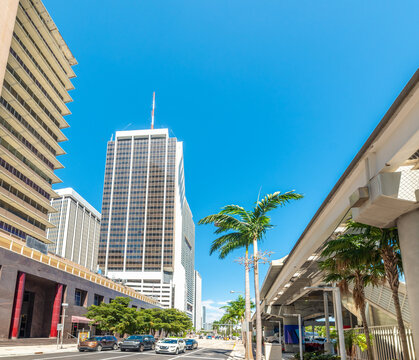 Palm trees skyscrapers and traffic in Downtown Miami