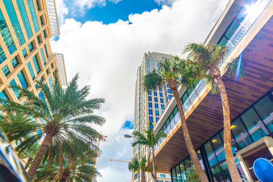 Fort Lauderdale skyscrapers and palm trees under blue sky