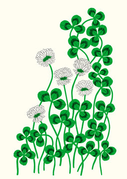 White Clover Field