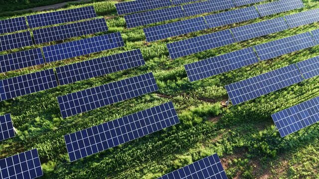 Aerial rise, tilt down and pan right over blue solar panels in a vast solar farm, highlighting clean, renewable energy generation and sustainability in a green landscape.