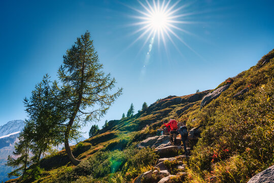Group of Hiker Walking on Mountain Ridge Surrounded by Autumn Field and Looking at Mont Blanc Massif in Chamonix French Alps