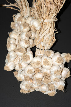 Indispensable for your kitchen, geographically indicated natural Taskopru garlic for health. Kastamonu,TR