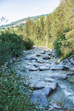 Mountain stream through forest near village in Dolomites, Italy