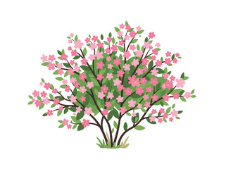 Fototapeta premium Blooming pink flower bush illustration isolated on white background