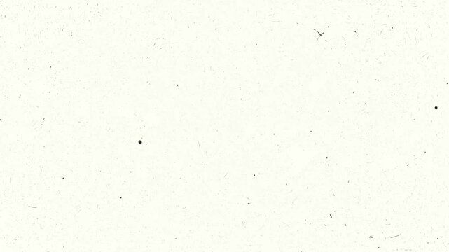 Grunge Texture Film Grain Overlay Effect Video Animation