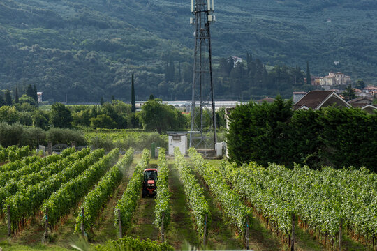 Tractor in Italian vineyard beneath a mountain landscape