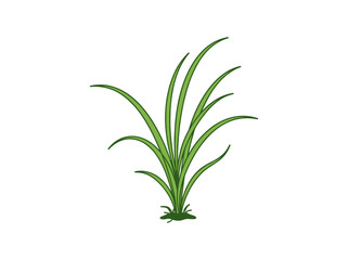 Fototapeta premium Green grass clump vector illustration isolated on white background